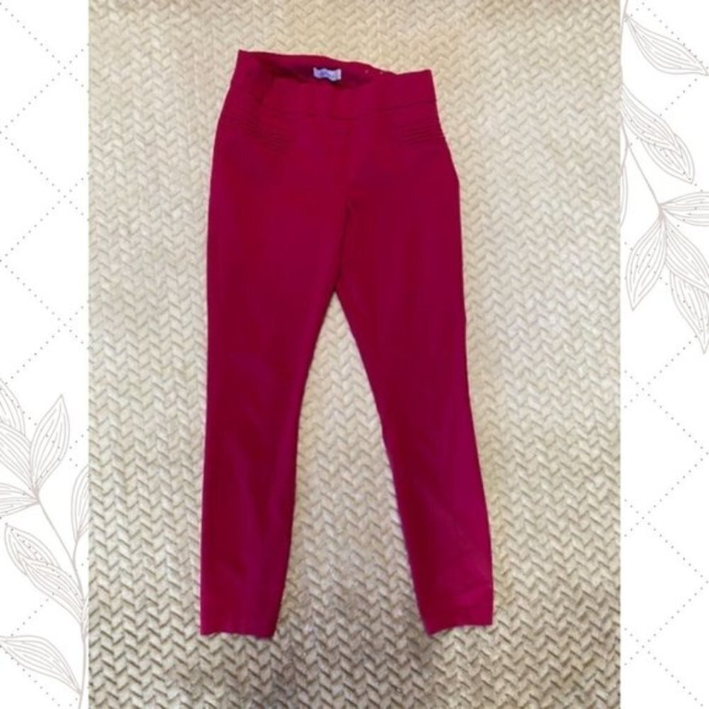 Reitmans Womens ankle pants stretch dress Moto